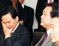 담담