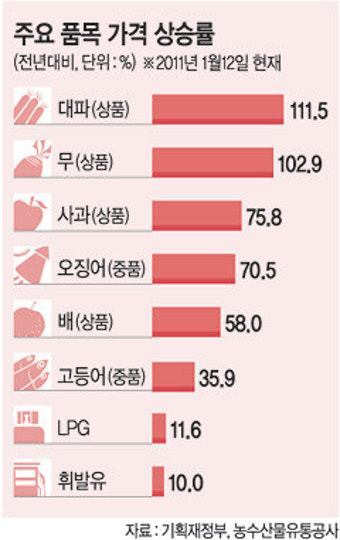 <‘물가 안정’ 종합대책>“서민물가 잡겠다” 전면전… 원자재값 불안 등 ‘걸림돌’