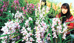 ‘난향에 취하다’