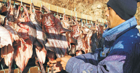 ‘화끈한’ 경상도의 겨울맛 ‘담백 육질·매콤 양념’ 마산 아귀찜