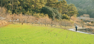 장천재 숲 지나… 돌다리 건너… 봄을 깨우러 갑니다