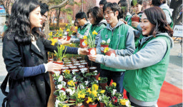 봄을 분양합니다