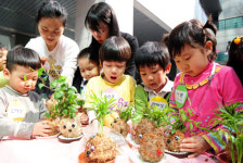 동물모형 화분 만들기