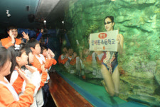 “수중발레쇼 신기해요”
