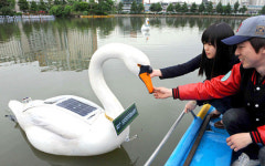 대학생이 만든 ‘태양광 백조’