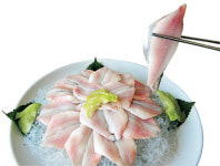 바다서 건진 ‘콜라겐 화장품’