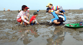갯벌서 캐는 가족애