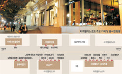 로데오거리·가로수길 이어… 이번엔 ‘타워팰리스 로드’ 뜬다