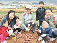 추수돕고 현미는 기내식으로… ‘天地 상생’