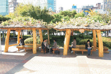 성동구청 앞마당 정자 ‘사랑방’ 인기