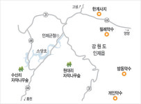 원대리 자작나무 숲 가는 길