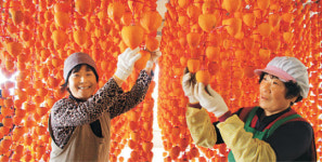 몰캉몰캉 달콤달콤… 첫사랑 같은 맛