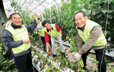 <1사1촌이 농촌活力 이끈다>“1촌선물로 만든 비누 디자인賞도 받아… FTA 겁 안나요”