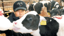 한우 산지가격 2년새 47% ↓… 마트 등심가격은 29%만 ↓