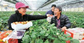 과감한 作目변경·영농 대형화로 수출 길터… “FTA로 더 큰 기회”