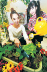 롯데마트 ‘상추 텃밭’