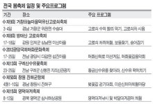 봄바람 살랑~ 살랑∼ 전국서 봄축제 스타트