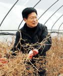 <나의 ‘1사1촌’ 예찬歌>“잠깐 농사에 체세포 춤추는듯…지친 心身 활력 보충”