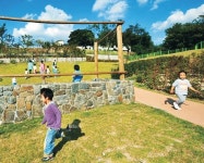 <포토 에세이>‘가을’사이로 달리는 아이들