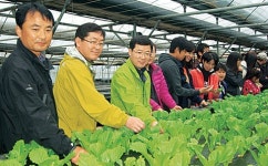 서울서부지법, 충북 대야리마을과 1사1촌 결연