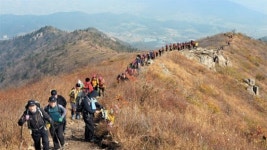 723m 아담한데 울퉁불퉁 근육질… 작은 산이 맵구나