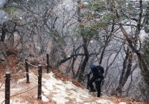 바람·돌·나무를 느끼면서… 산 오르는 건 경주가 아닙니다