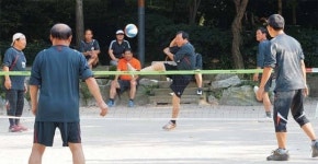 <서울아 운동하자>한양성곽길 트레킹 ‘힐링’… 족구장선 70대 VS 30대 ‘한판’