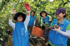 <1사1촌이 행복시대 이끈다>경찰이 캐는 감자 어떤 맛일까… “맛있다”