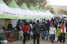 연천군 1∼3일 전곡리 선사유적지 농특산물 큰 장터 개최