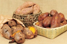 <힐링푸드>잠시만요, 고구마 로 ‘기관지 청소’ 좀 하고 가실게요 ∼