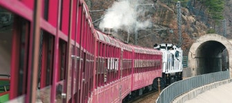 계절이 채색한 붓길 따라간 여정… 새해 달력에 표시해야 할 ‘그곳’