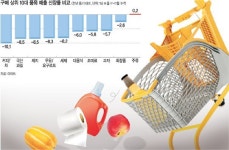 ‘꽁꽁 언 內需’ 생필품 소비마저…