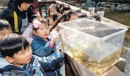 신기한 童心