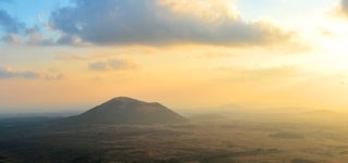 풀뜯는 소떼, 코앞 노루, 초록 풍경… 내 마음의 평화를 만나다