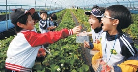 <팜스테이마을 현장을 가다>年 체험객 5만 ~ 6만명… 10월까지 예약 꽉 차