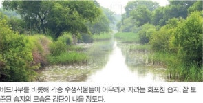 그곳에 가야 할 이유는 ‘가야’만이 아니었다