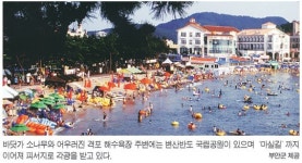 전북 부안, 해안선 10㎞ ‘松林’… 외변산 기암절벽 ‘절경’