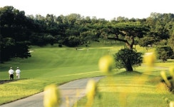 <소동기의 골프장 紀行>도심의 울창한 숲속 필드… ‘황제회원권’ 명성 그대로