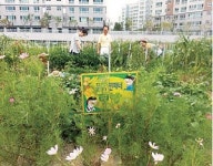 전국 최대 ‘도심 텃밭’ 첫 수확