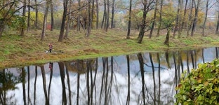 三道의 머리를 맞댄 그 곳… 물과 숲따라 가을 끝자락이 흐른다