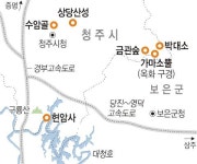 상당산성 가는 길·묵을 곳·먹을 것