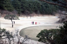 도심속 ‘사계절 골프낙원’… 국내 유일 全코스 금잔디