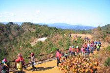 ‘名品 순례길’로 부활하는 관동8景