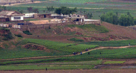 <김정은 ‘공포정치’>“金 ‘충동적 숙청’… 암살·쿠데타로 끝난 독재자 종말로 갈 것”