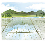 <살며 생각하며>농부의 마음으로