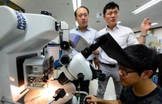 디앤와이어패럴 | 머리카락보다 가는 ‘와이어’ 테스트… 3D 자동화로 공정시간 300배 단축