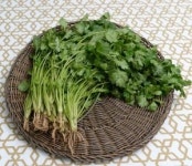 <힐링푸드>‘욱’ 할 땐 … 마음 치료의  고수