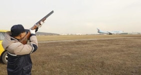 조류 충돌 ‘4중 안전’… “하늘길 안심하세요”