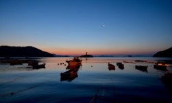 ‘스토리’ 입힌 홍콩빠·요정거리… 쇠락한 도시, 르네상스 꿈꾸다