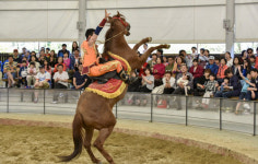 몽골문화촌서 몽골 민속예술 마상공연